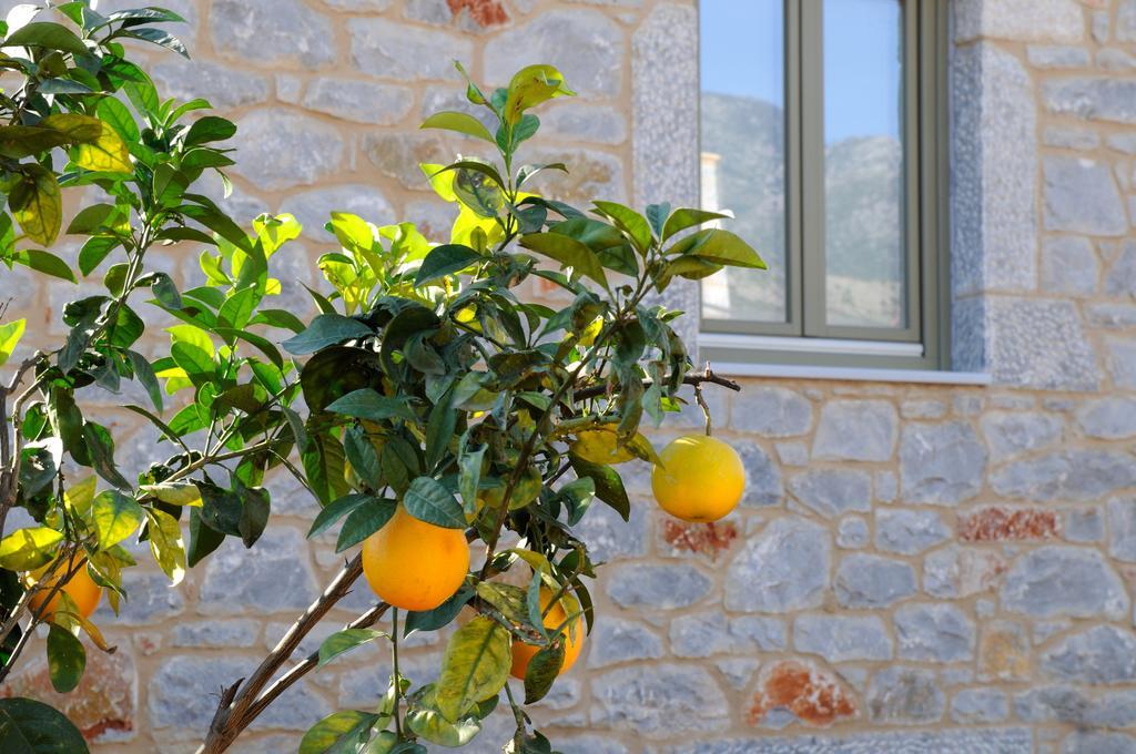 Nikoloudi Estate Villa Agios Nikolaos  Eksteriør billede